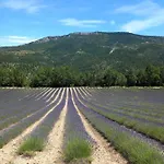 La Plume Du Ventoux * Mollans-sur-Ouvèze