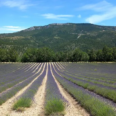 La Plume Du Ventoux Studio * Mollans-sur-Ouveze