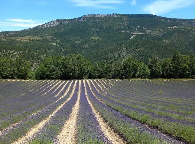 La Plume Du Ventoux * Mollans-sur-Ouvèze